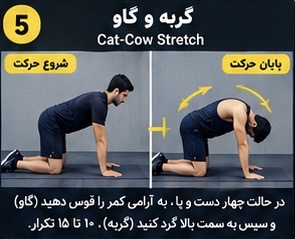 حرکات اصلاحی